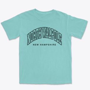North Walpole New Hampshire Inline Premium Heavyweight T-shirt
