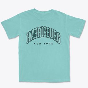 Harrisburg New York Inline Premium Heavyweight T-shirt