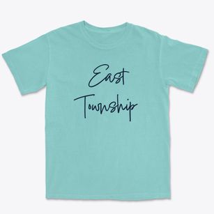 East Township New York Freestyle Premium Heavyweight T-shirt
