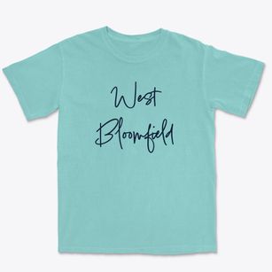 West Bloomfield New York Freestyle Premium Heavyweight T-shirt