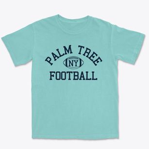Palm Tree New York Football Premium Heavyweight T-shirt