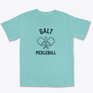 Galt Illinois Pickleball Premium Heavyweight T-shirt