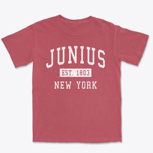Junius New York Classic Established Premium Heavyweight T-shirt