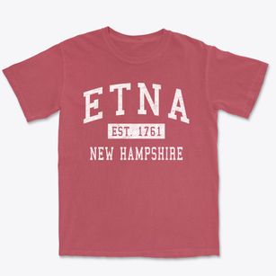 Etna New Hampshire Classic Established Premium Heavyweight T-shirt