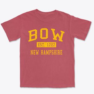 Bow New Hampshire Classic Established Premium Heavyweight T-shirt