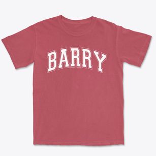 Barry Elementary School Varsity Arch Premium Heavyweight T-shirt