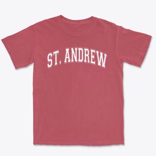 Saint Andrew The Apostle School Varsity Arch Premium Heavyweight T-shirt