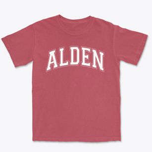 Alden Elementary School Varsity Arch Premium Heavyweight T-shirt