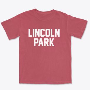 Lincoln Park Michigan Classic Block Premium Heavyweight T-shirt