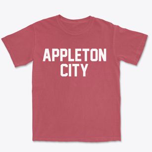 Appleton City Missouri Classic Block Premium Heavyweight T-shirt