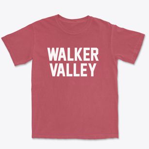 Walker Valley New York Classic Block Premium Heavyweight T-shirt
