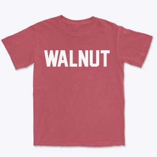 Walnut Iowa Classic Block Premium Heavyweight T-shirt