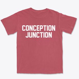 Conception Junction Missouri Classic Block Premium Heavyweight T-shirt
