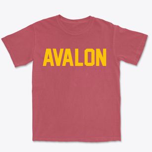 Avalon New Jersey Classic Block Premium Heavyweight T-shirt