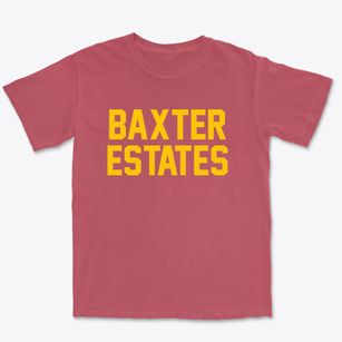 Baxter Estates New York Classic Block Premium Heavyweight T-shirt