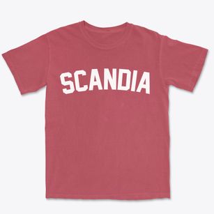 Scandia Minnesota Classic Curve Premium Heavyweight T-shirt