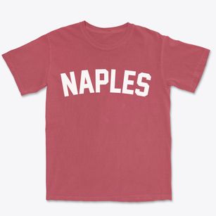 Naples Utah Classic Curve Premium Heavyweight T-shirt