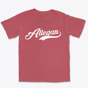 Allegan Michigan Vintage Team Premium Heavyweight T-shirt