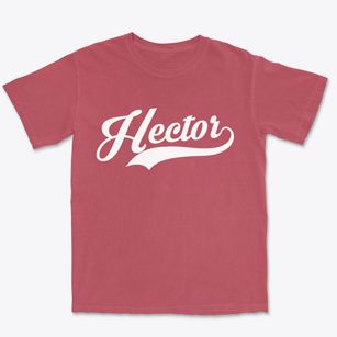 Hector Minnesota Vintage Team Premium Heavyweight T-shirt