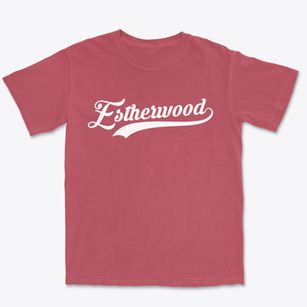 Estherwood Louisiana Vintage Team Premium Heavyweight T-shirt
