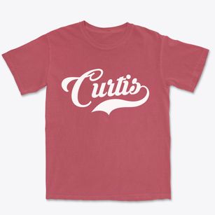 Curtis Nebraska Vintage Team Premium Heavyweight T-shirt