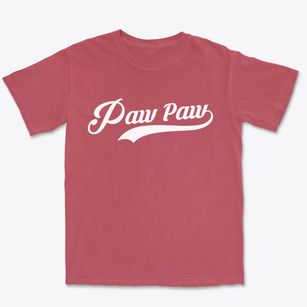 Paw Paw Illinois Vintage Team Premium Heavyweight T-shirt