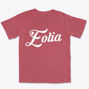 Eolia Missouri Vintage Team Premium Heavyweight T-shirt