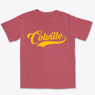 Colville Washington Vintage Team Premium Heavyweight T-shirt