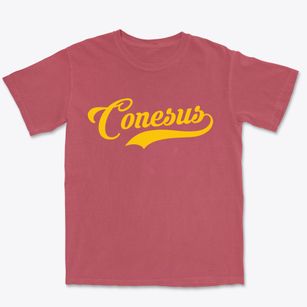 Conesus New York Vintage Team Premium Heavyweight T-shirt