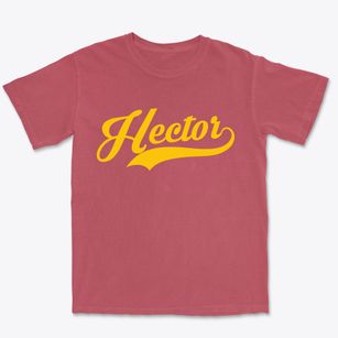 Hector Minnesota Vintage Team Premium Heavyweight T-shirt