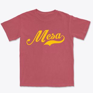 Mesa Arizona Vintage Team Premium Heavyweight T-shirt