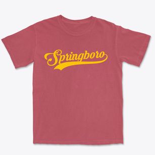 Springboro Pennsylvania Vintage Team Premium Heavyweight T-shirt