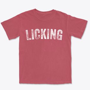 Licking Missouri Timeless Retro Premium Heavyweight T-shirt