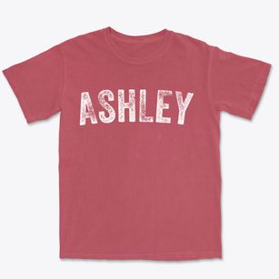 Ashley Missouri Timeless Retro Premium Heavyweight T-shirt