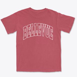 Bellevue Texas Trendy Block Premium Heavyweight T-shirt