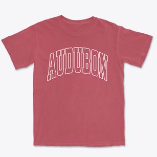 Audubon New Jersey Trendy Block Premium Heavyweight T-shirt