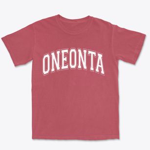 Oneonta New York Varsity Premium Heavyweight T-shirt