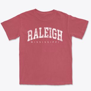 Raleigh Mississippi Urban Vibe Premium Heavyweight T-shirt