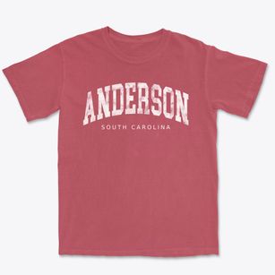 Anderson South Carolina Urban Vibe Premium Heavyweight T-shirt