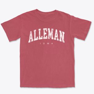 Alleman Iowa Urban Vibe Premium Heavyweight T-shirt