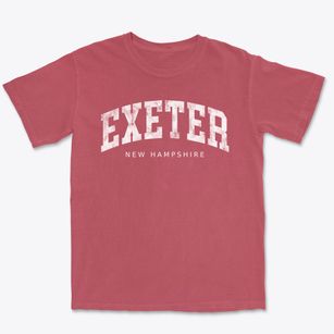 Exeter New Hampshire Urban Vibe Premium Heavyweight T-shirt