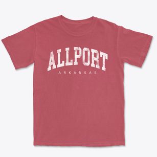 Allport Arkansas Urban Vibe Premium Heavyweight T-shirt