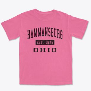 Hammansburg Ohio Classic Established Premium Heavyweight T-shirt