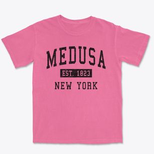 Medusa New York Classic Established Premium Heavyweight T-shirt