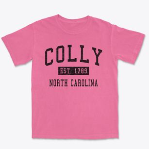 Colly North Carolina Classic Established Premium Heavyweight T-shirt