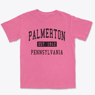 Palmerton Pennsylvania Classic Established Premium Heavyweight T-shirt