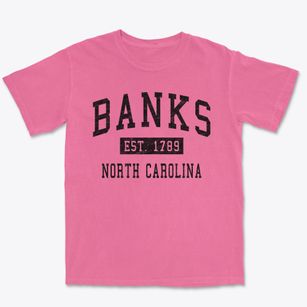 Banks North Carolina Classic Established Premium Heavyweight T-shirt