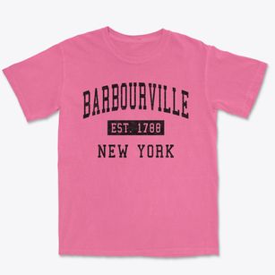 Barbourville New York Classic Established Premium Heavyweight T-shirt