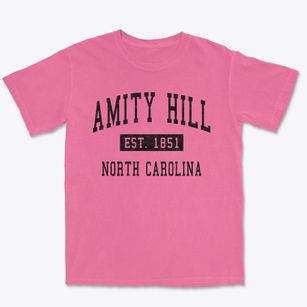Amity Hill North Carolina Classic Established Premium Heavyweight T-shirt