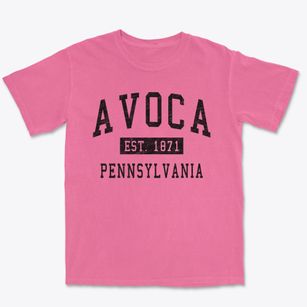 Avoca Pennsylvania Classic Established Premium Heavyweight T-shirt